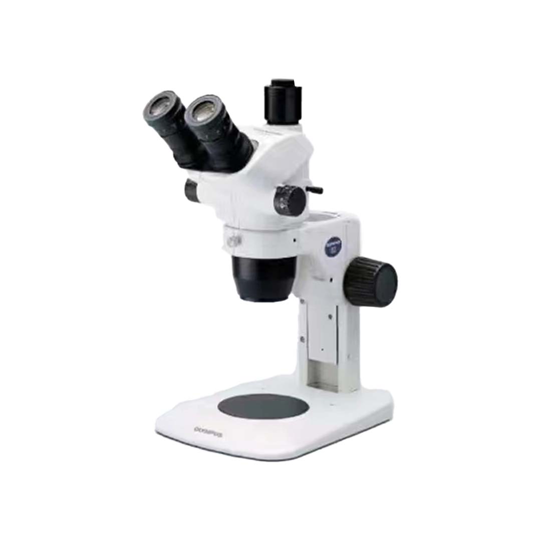 体视显微镜