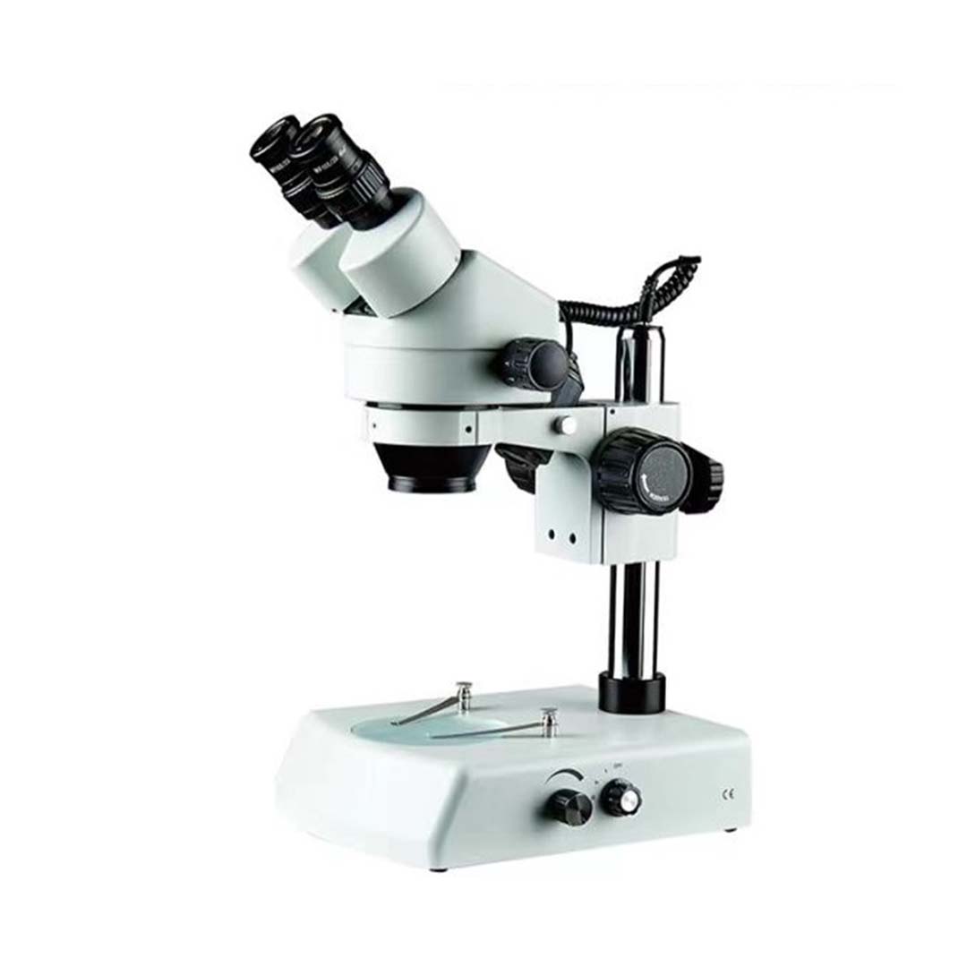 体视显微镜3